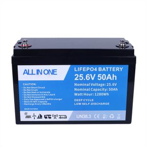 25.6V 100Ah Lithium-Ion Lifepo4 Battery Pack Herlaaibare Lithium Ion Battery