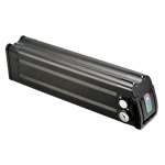 Herlaaibare 48V 20Ah 1000W Silwervis Litium Batterypak